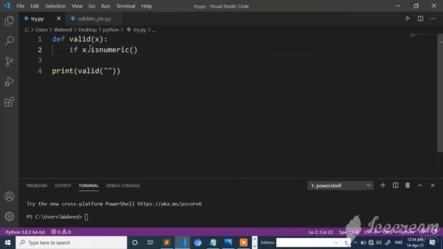 len() and isnumeric() function in python смотреть онлайн