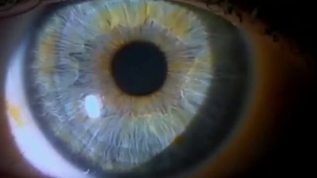 Куриные яйца - в чем их секрет.