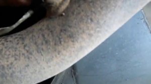 Мицубиси каризма замена лямбды от жигулей (бокс99)