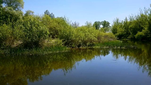 Усманка в конце мая смотреть онлайн