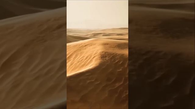 The Mysterious History of the Sahara Desert From Green Oasis to Endless Dunes смотреть онлайн