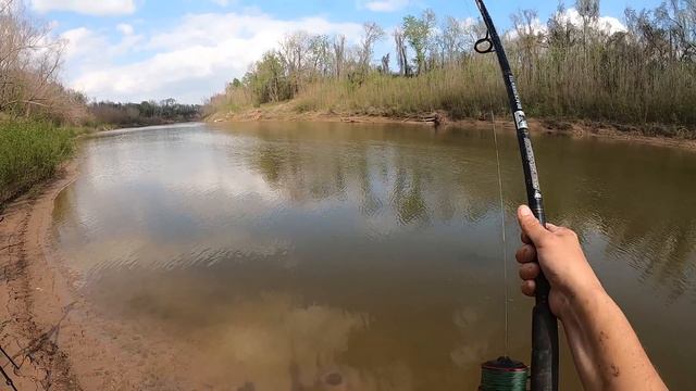 Giant Bullfrogs for Bait Catch Monster Fish смотреть онлайн