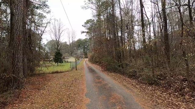 Losi LMT Grave Digger NEW For 2021