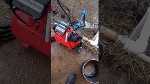 Абиссинка заиливается?   Скважина после полугодового простоя.
