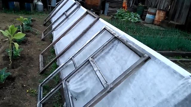 Прогулка по огороду. 16 июня. Север Бурятии. смотреть онлайн