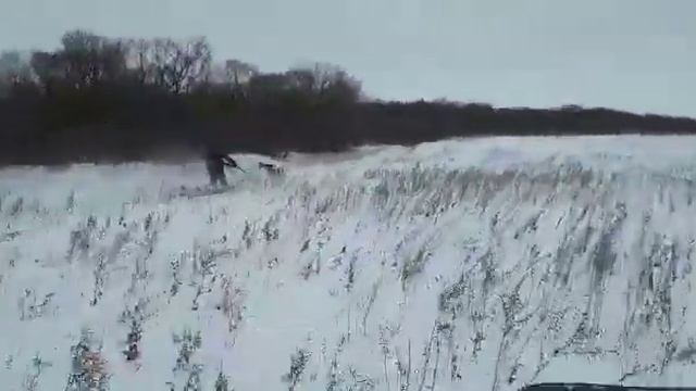 Мотособака балтмоторс