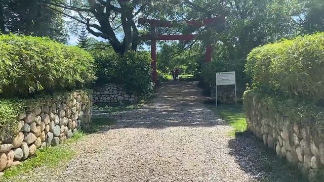Доминикана Влог | Ботанический Сад в Санто-Доминго | National Botanical Garden in Santo Domingo смотреть онлайн