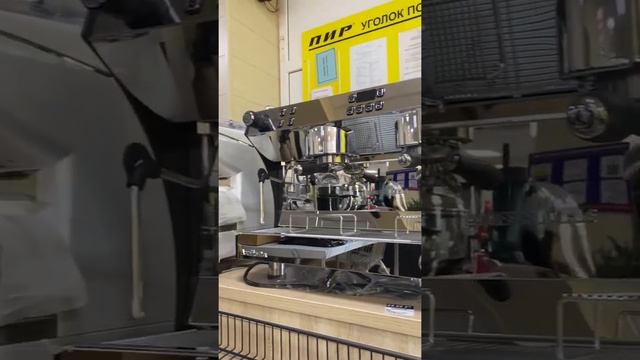 Кофемашина Manifesta Professionals #кофемашина #кофейня #дагестан смотреть онлайн