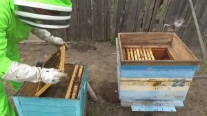 Когда ставить магазины/Когда делать первые отводки/