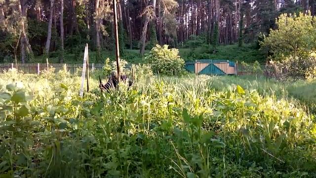 Быстро забивание трубы и начало натягивание проволоки смотреть онлайн