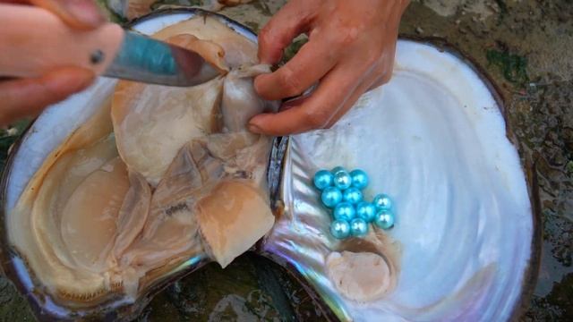 ? Blue Pearl ?！ It's incredible that there are such beautiful pearls in Geli's belly смотреть онлайн