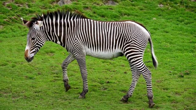 5 разгаданных тайн нашей планеты. Загадки природы. смотреть онлайн