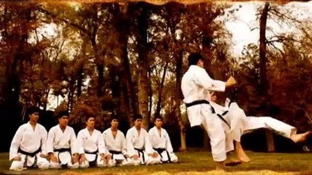 Чемпионат Азии по Каратэ в Узбекистане. смотреть онлайн