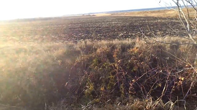 Відкриття полювання на зайця 2021 смотреть онлайн