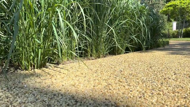 Ландшафтный дизайн. Обзор объекта в поселке Ново-Успенский #ландшафтныйдизайн смотреть онлайн