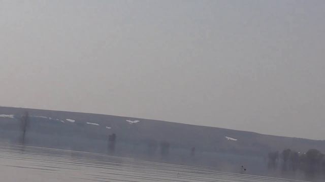 Река ДОН разлив 2018