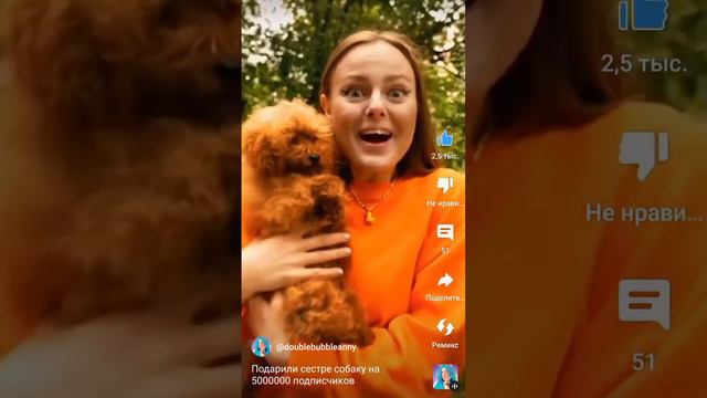 (Автор канала -Дабл бабл)Ксюше подарили собаку на миллионов смотреть онлайн