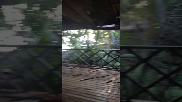 Заброшенная гостиница на Самуи смотреть онлайн