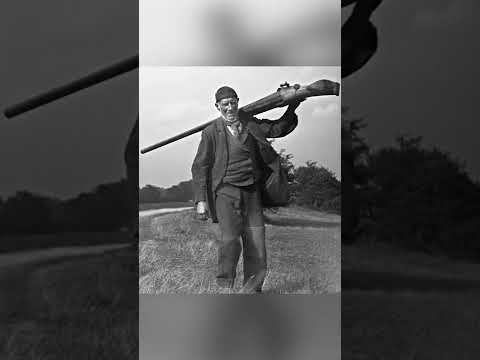 Самое большое ружье в мире смотреть онлайн