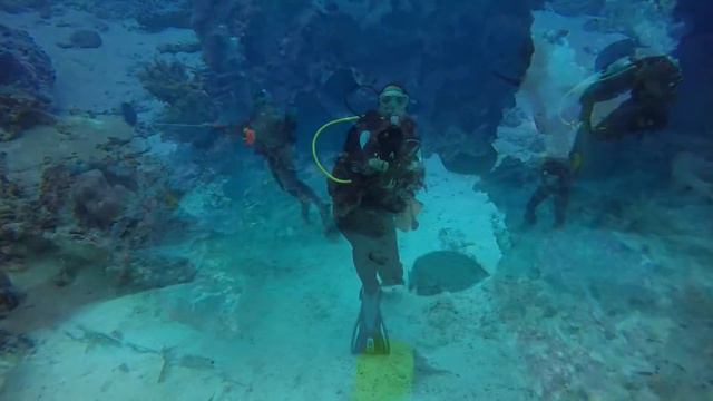 South Ari Atoll (Maldives) - Lily Rock (06-09-2016) - Submaldives смотреть онлайн