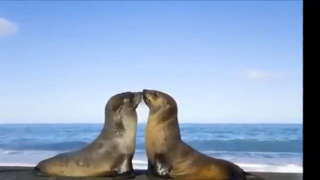 Mantra Love & Happiness? Beautiful voice!? Om Tare Tuttare Ture Soha? Мантра релакс Любовь? смотреть онлайн