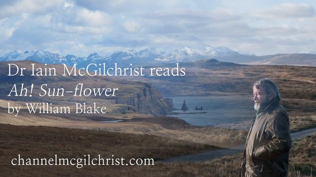 Daily Poetry Readings #262: Ah! Sun-flower by William Blake read by Dr Iain McGilchrist смотреть онлайн