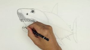 How To Draw Megalodon Shark | YouTube Studio Sketch Tutorial