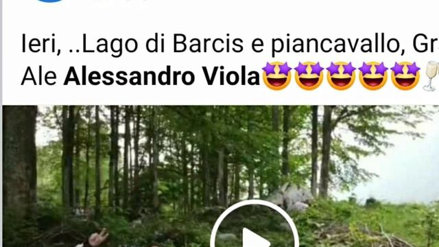 Il mio 2020... non tutto da buttare ❤ Auguri di Buon Natale 🤗 смотреть онлайн