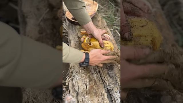 Как я накосячил пытаясь приготовить курицу в глине. смотреть онлайн