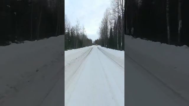 Дороги,которых нет на карте автомобильных дорог(для лесовозов) смотреть онлайн