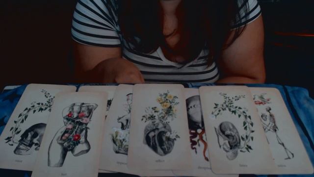 Deck Review: Oracle of Oddities смотреть онлайн