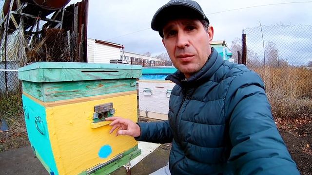 Вентиляция через верхний леток. Мой опыт смотреть онлайн