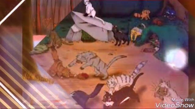 Самые красивые фото котов воителей !!!(моё первое видео) смотреть онлайн