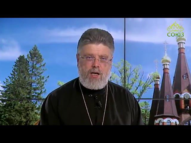 "Становление и эволюция: как сторге ведет к глубоким чувствам" смотреть онлайн