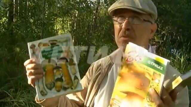 Грибы-загадки грозят вытеснить из нижегородских лесов белые и подберезовики смотреть онлайн