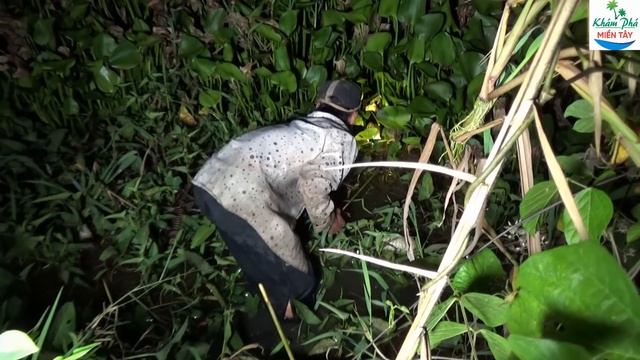 87 | Quyết tâm thả câu bắt những con lươn ở điểm cũ ( P1 ) | eel смотреть онлайн
