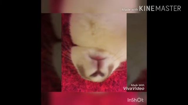 Самые крутые фотографии в Instagram! смотреть онлайн