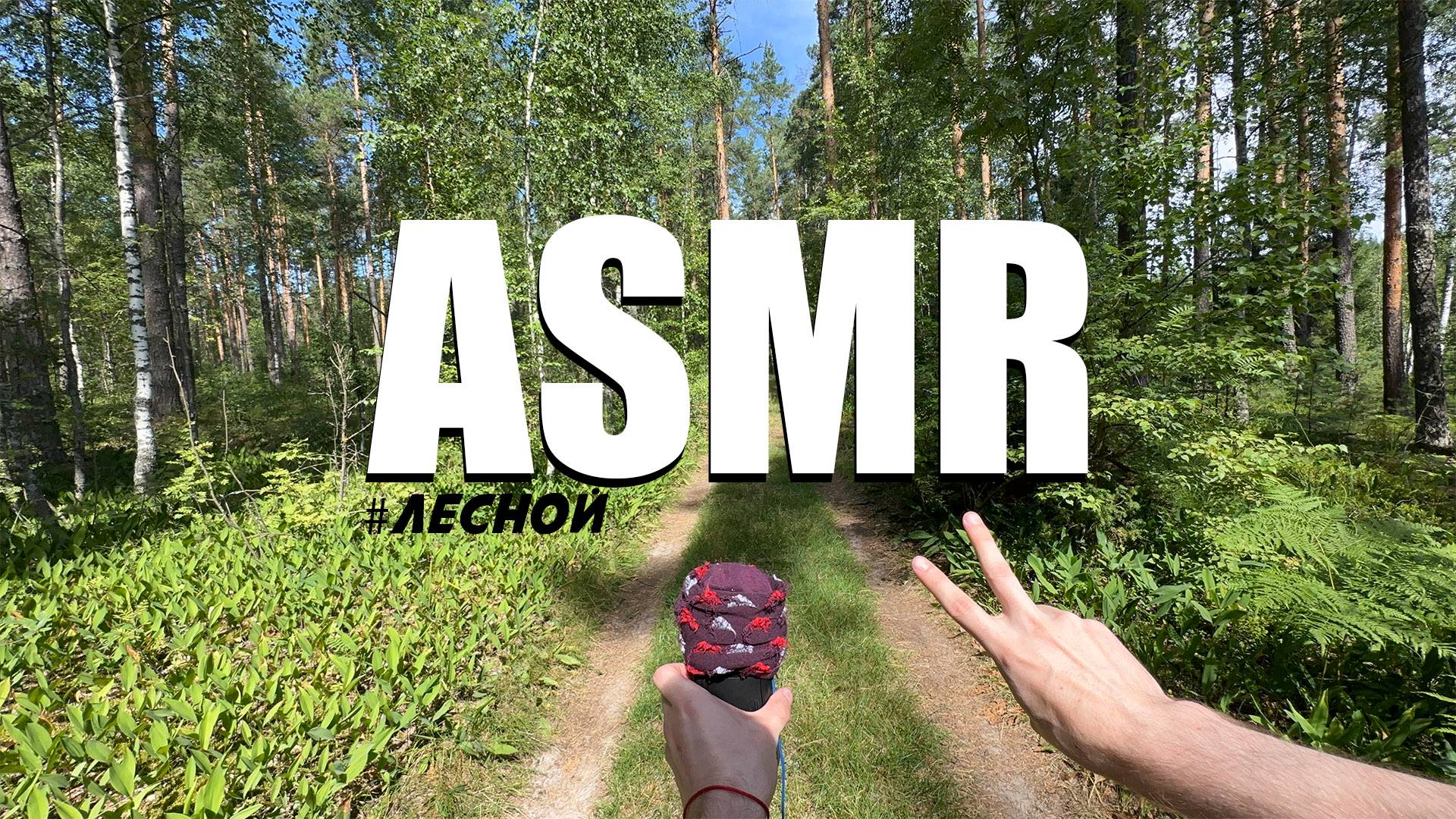 АСМР В ЛЕСУ 🌳 смотреть онлайн