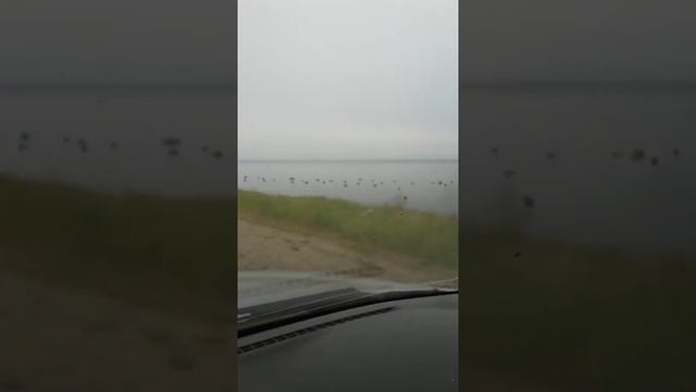 Ловля омуля в Северобайкальске смотреть онлайн