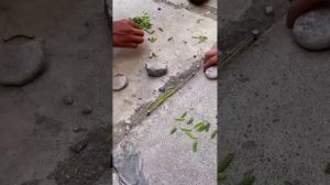 Один из способов убить время