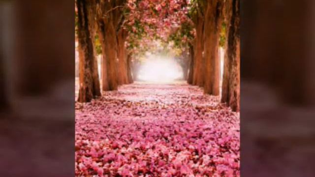 La camisa negra // juanes // female karaoke смотреть онлайн