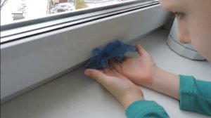 Игрушка липкая ящерица. Лизун Ящерица. Обзор игрушек.