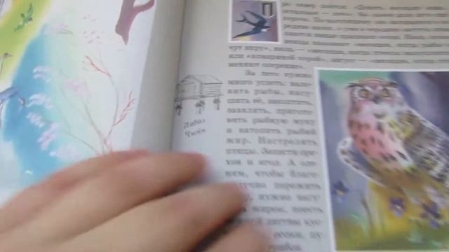 ОБЗОР детской книги "Хомани" М.Приходько и О. Приходько. смотреть онлайн