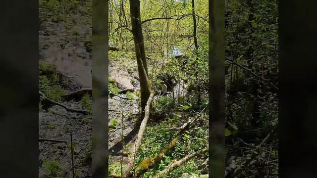 Водопад Радужный. Подмосковье смотреть онлайн