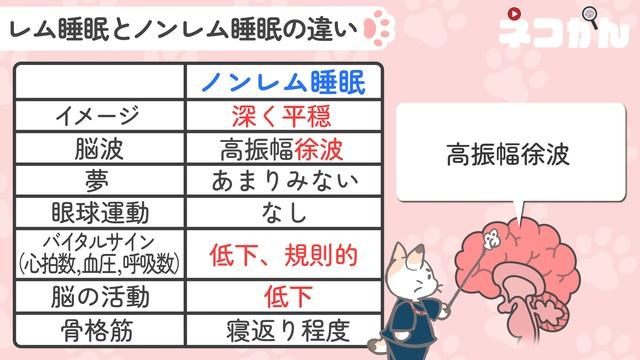 レム睡眠ノンレム睡眠 　特徴、加齢による変化など смотреть онлайн