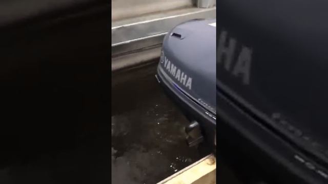 В продаже б/у мотор Yamaha F5 2018 года✔ смотреть онлайн