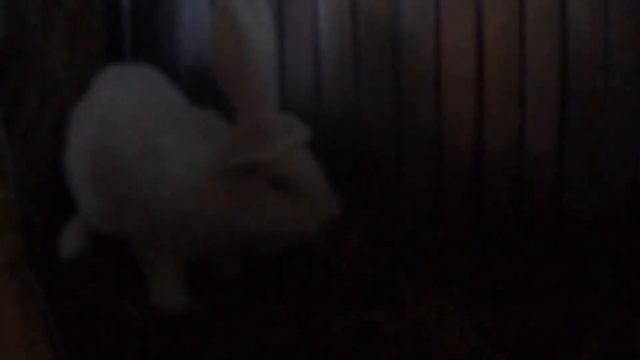 Деревенская жизнь на Кубани кролики смотреть онлайн