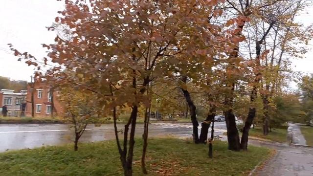 11.10.2022. Улица Кирова. Краснофлотский район. Хабаровск.