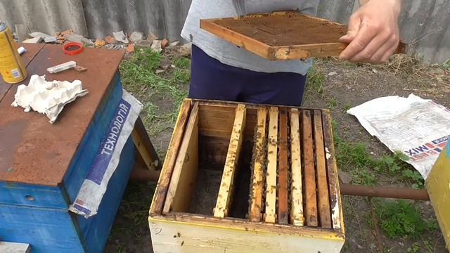 Как проще всего вывести матку для себя!!! смотреть онлайн