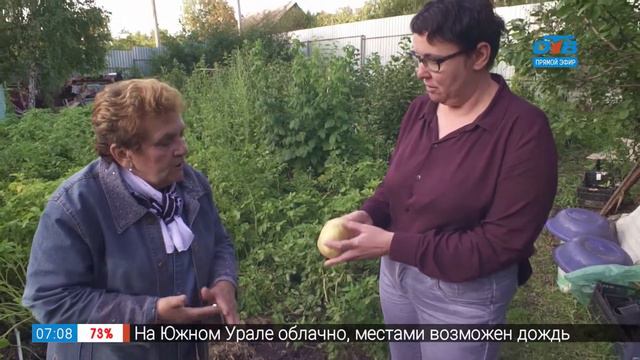 Садовые истории – растим картошку без окучивания смотреть онлайн